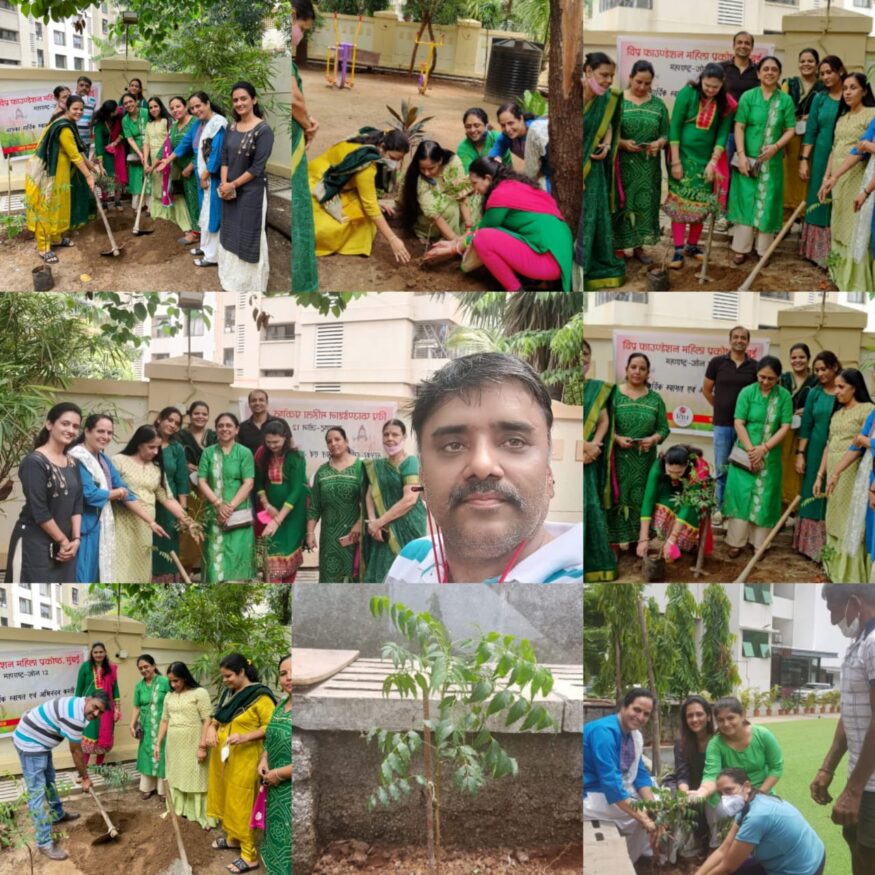 Vipra Foundation Women's Cell Mumbai also did tree plantation on World Environment Day