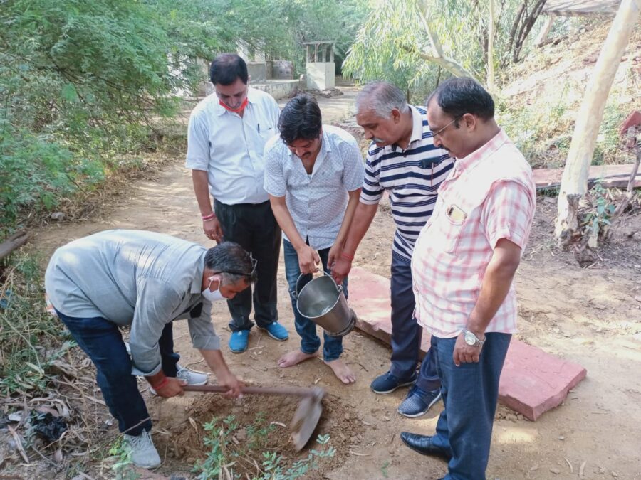 विफा संस्थापक संयोजक ओझा के जन्मदिन पर हनुमान मंदिर में भोग व फलदार 11 पौधे लगा दीर्घायु की कामना की