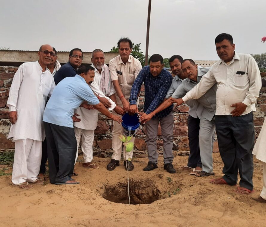 विप्र फाउंडेशन : सुशील ओझा का जन्मदिन लीखवा की श्रीकृष्ण गौशाला में मनाया
