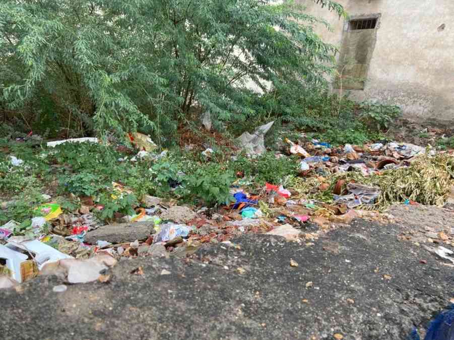 मॉडल टाउन में बदहाल है कचरा संग्रहण व्यवस्था जिम्मेदारों की लापरवाही से संक्रमण का खतरा