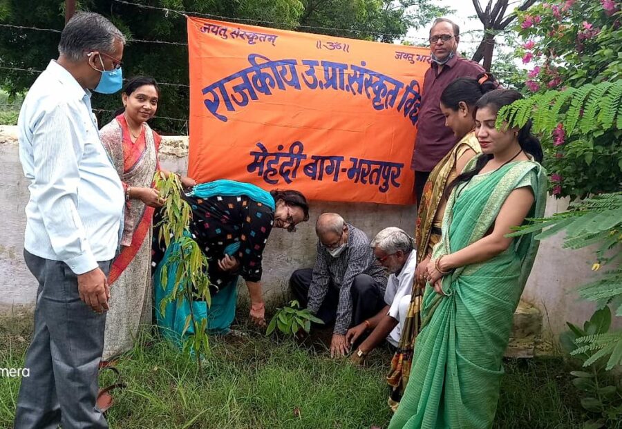 राजकीय वरिष्ठ उपाध्याय संस्कृत विद्यालय भरतपुर में वृक्षारोपण