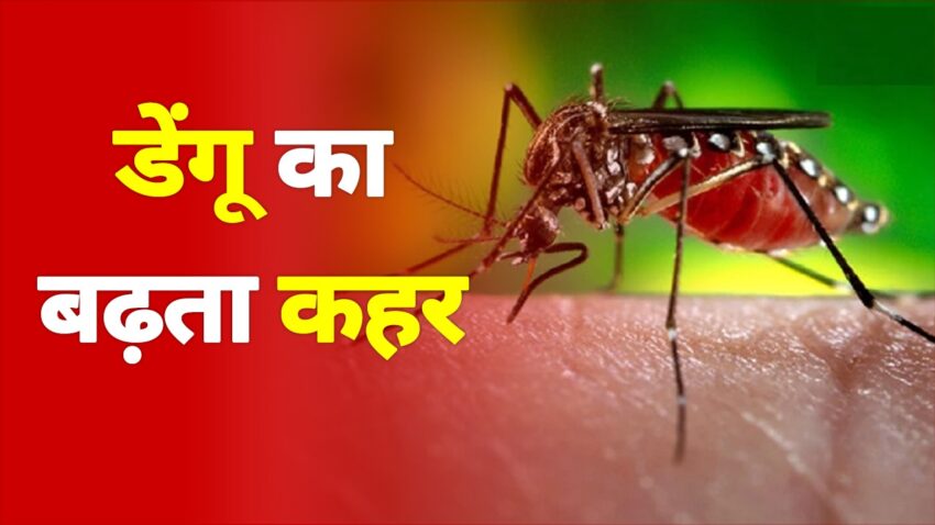 जयपुर में डेंगू का कहर: डेंगू के केस 215 फीसदी बढ़े, प्रदेश में 8 लोगों की मौत|Dengue havoc in Jaipur: Dengue cases increased by 215%, 8 people died in the state