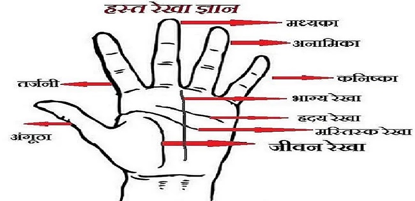 हस्तरेखा देखना सीखने के इछुक हो तो करें आवेदन, शुरू हो रहा है प्रशिक्षण 15 नवंबर से