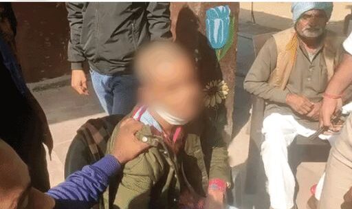 1638628096 e1638630951174