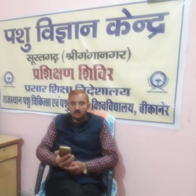 गायों