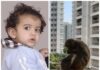 जगतपुरा की वृंदा गार्डेन सोसायटी में बंदरों का आतंक: एक साल के बच्चे को खींच कर बाहर ले जाने की घटना से सोसायटी में दहशत