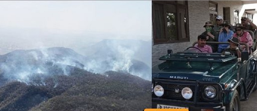 अंजलि तेंदुलकर